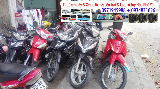 Thuê xe máy tại Phú Yên đi ăn đặc sản sò huyết Đầm Ô Loan