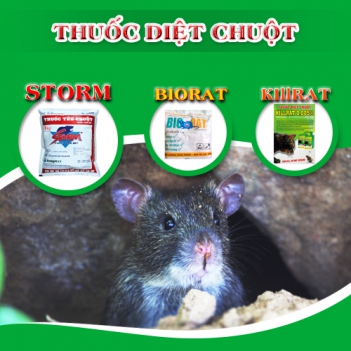 Cách diệt chuột trong nhà không mất thời gian - nấu món ngon